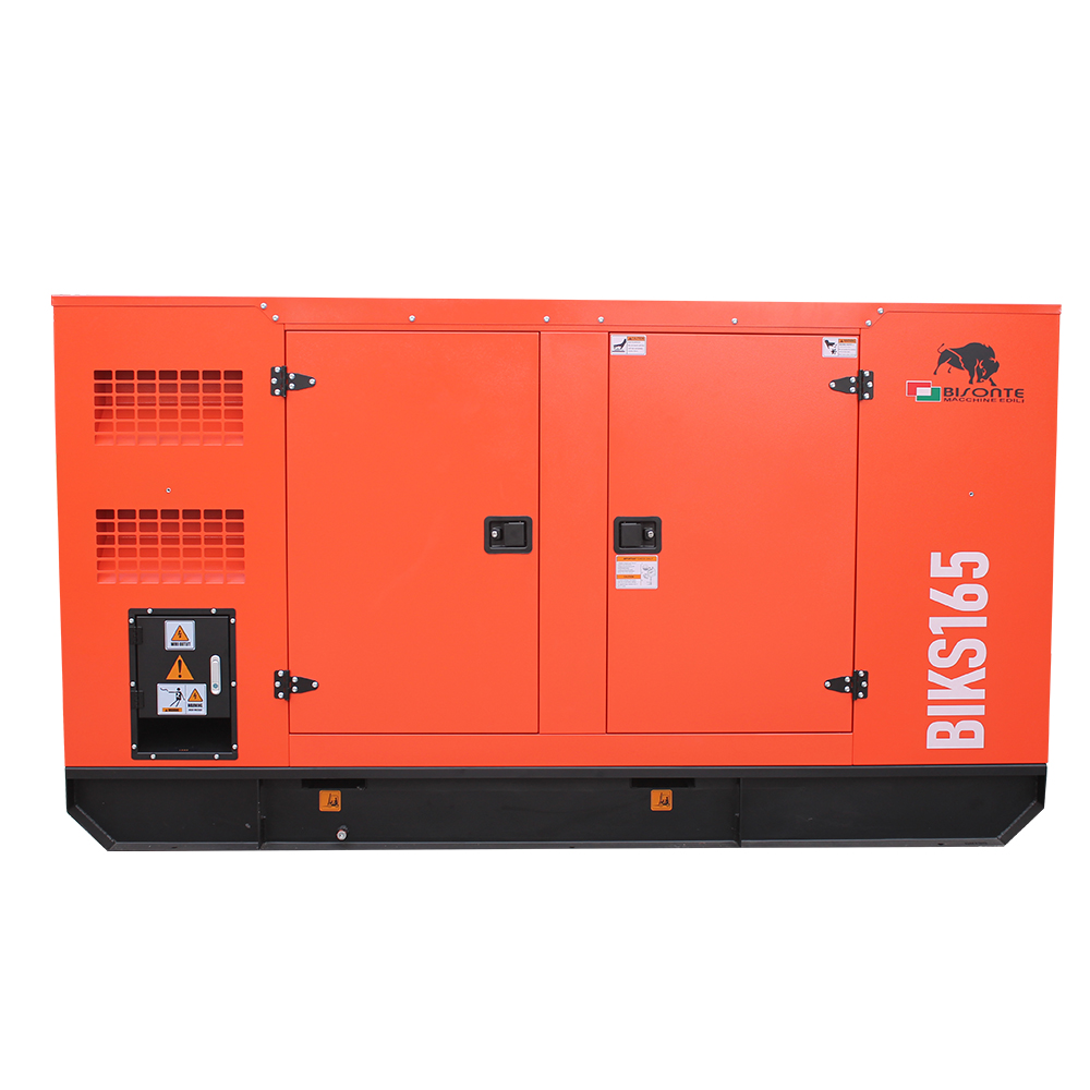 Generator BIKS165 ATS putere maxima 165kVA Bisonte