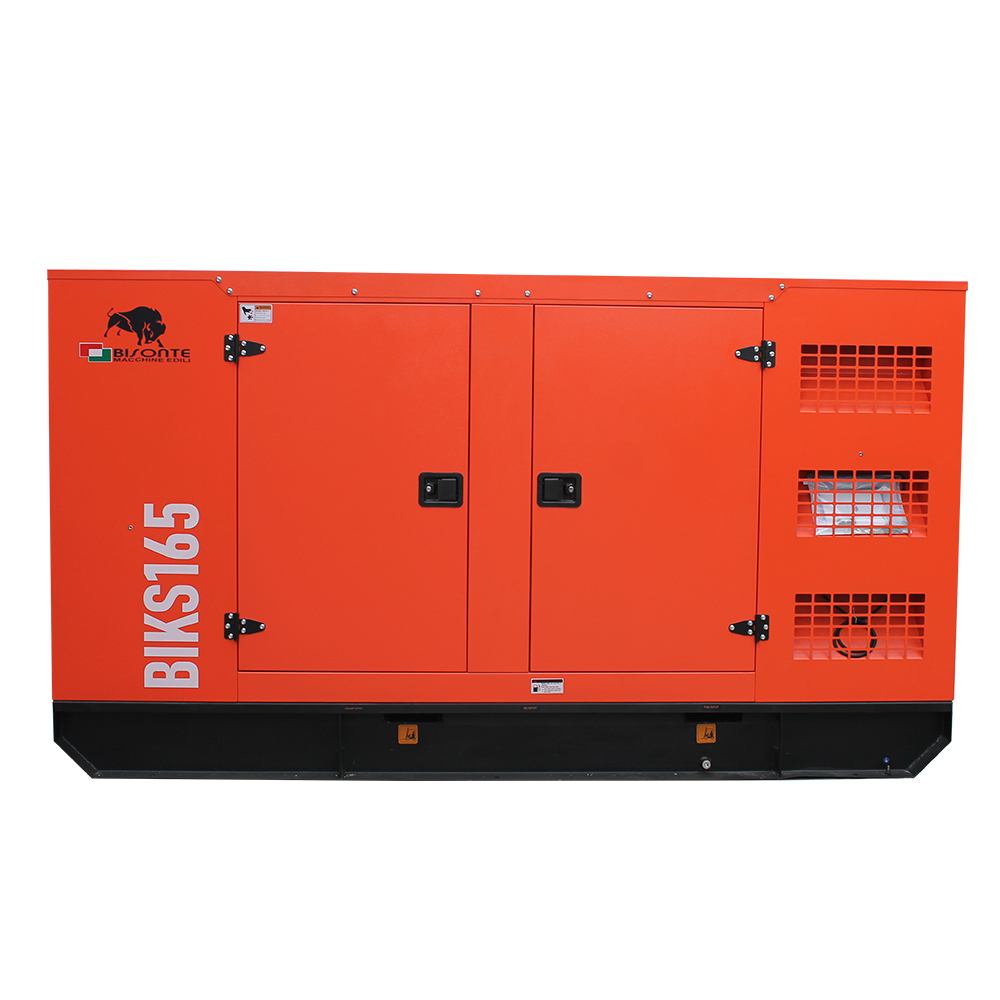 Generator BIKS165 ATS putere maxima 165kVA Bisonte - imagine 2