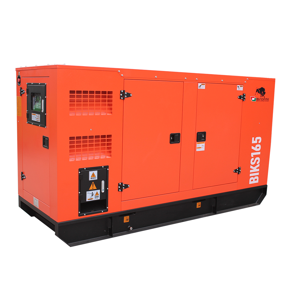Generator BIKS165 ATS putere maxima 165kVA Bisonte - imagine 6