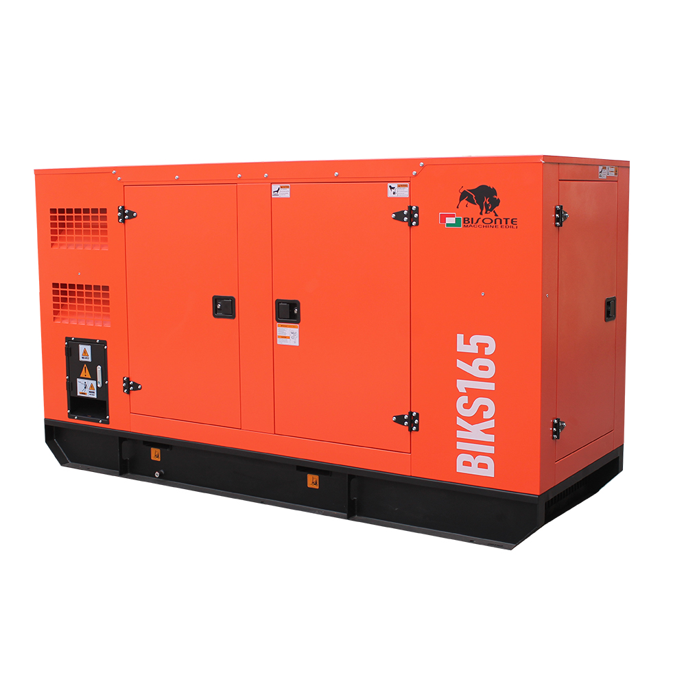 Generator BIKS165 ATS putere maxima 165kVA Bisonte - imagine 5