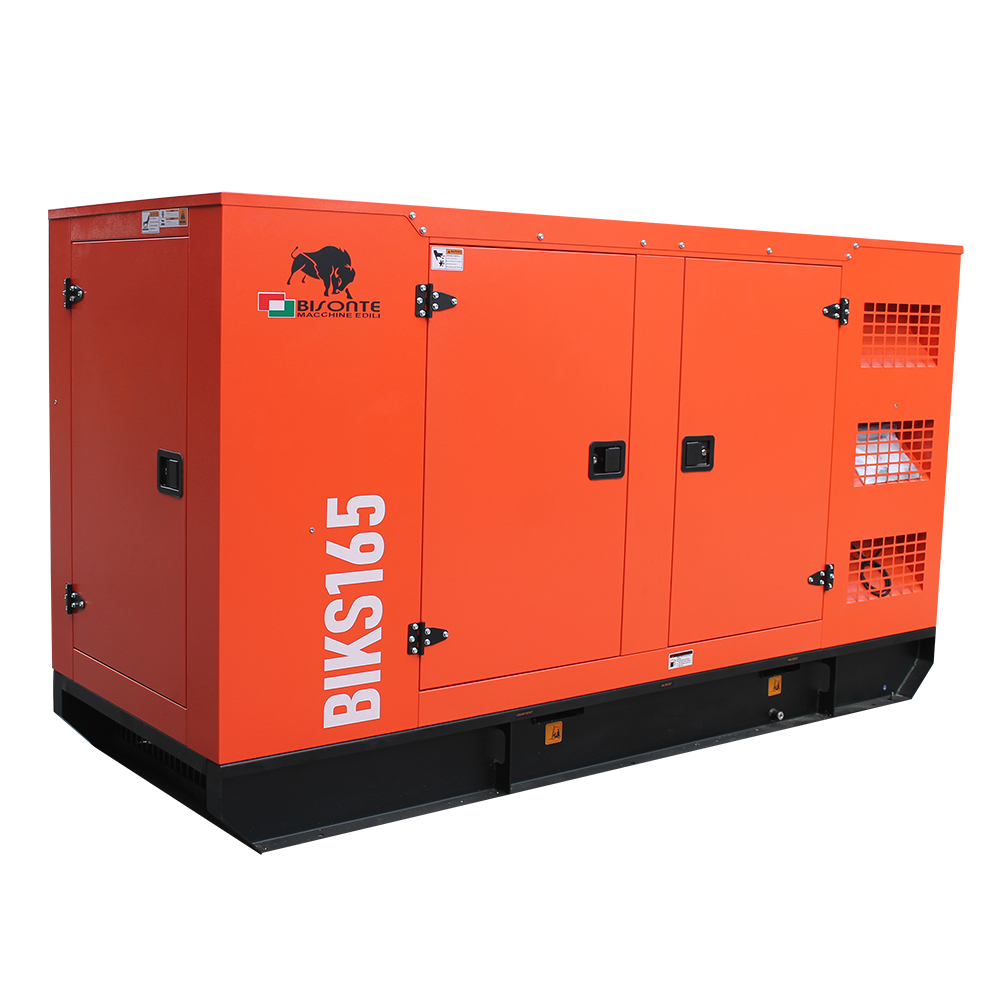Generator BIKS165 ATS putere maxima 165kVA Bisonte - imagine 4