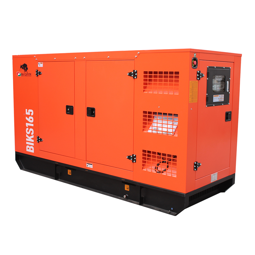 Generator BIKS165 ATS putere maxima 165kVA Bisonte - imagine 3
