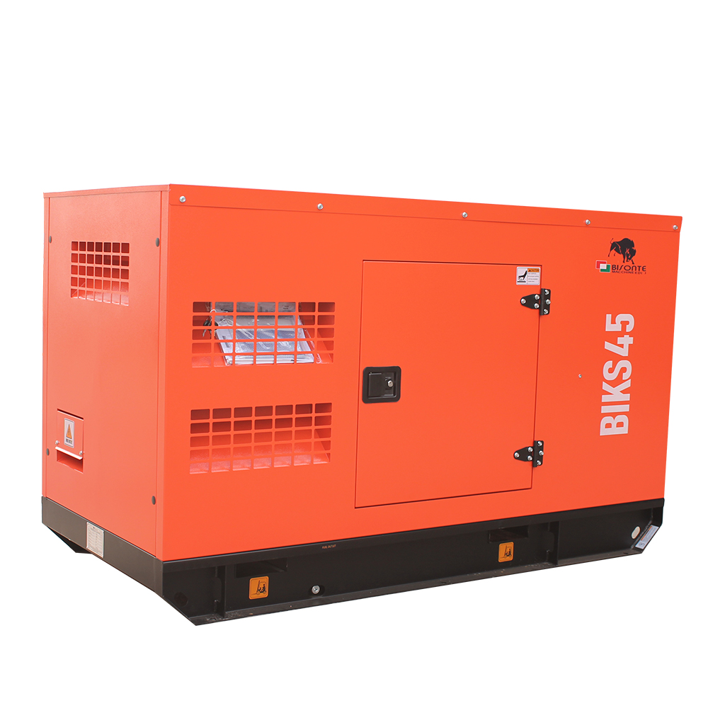 Generator BIKS45 ATS putere maxima 44 kVA Bisonte - imagine 2