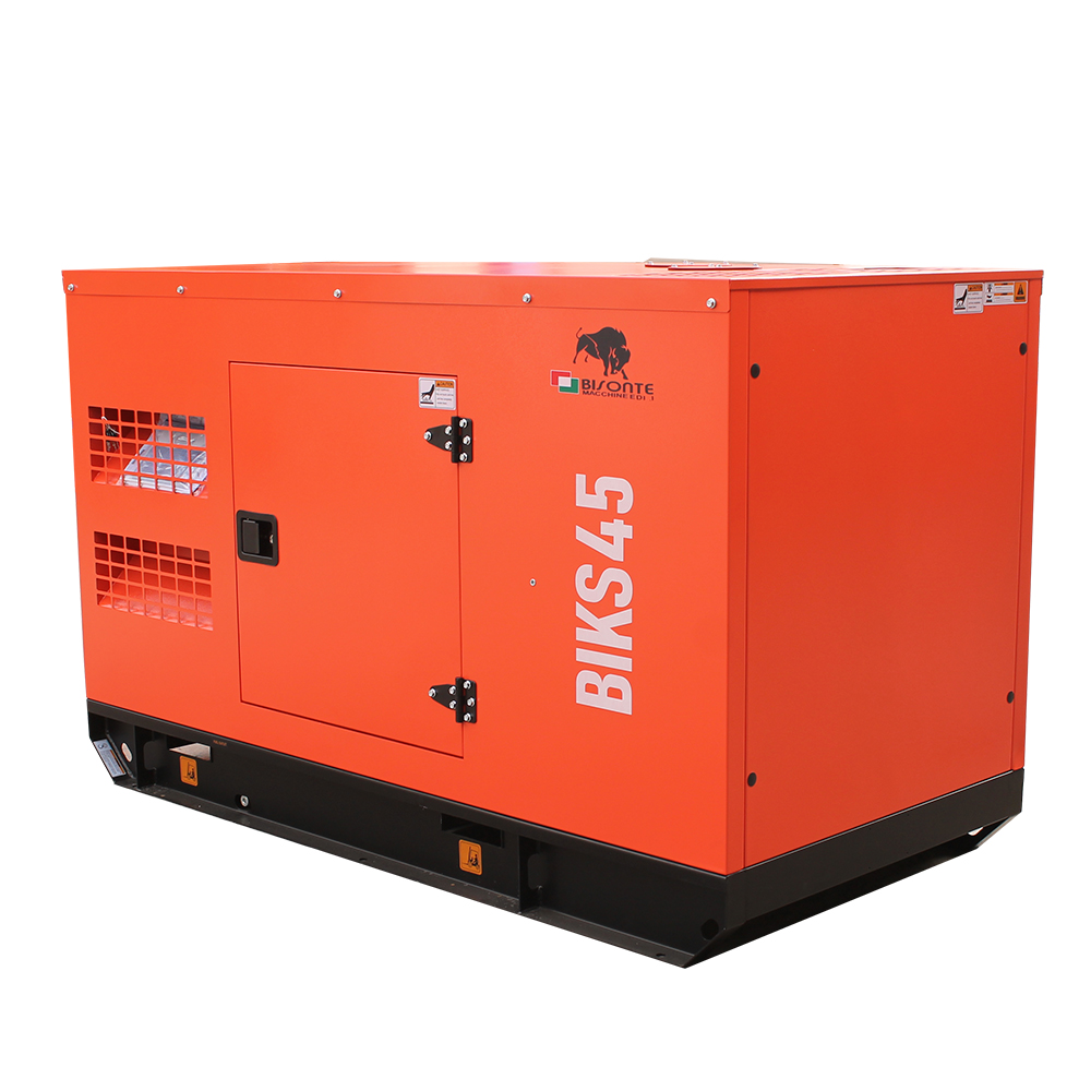 Generator BIKS45 ATS putere maxima 44 kVA Bisonte - imagine 5