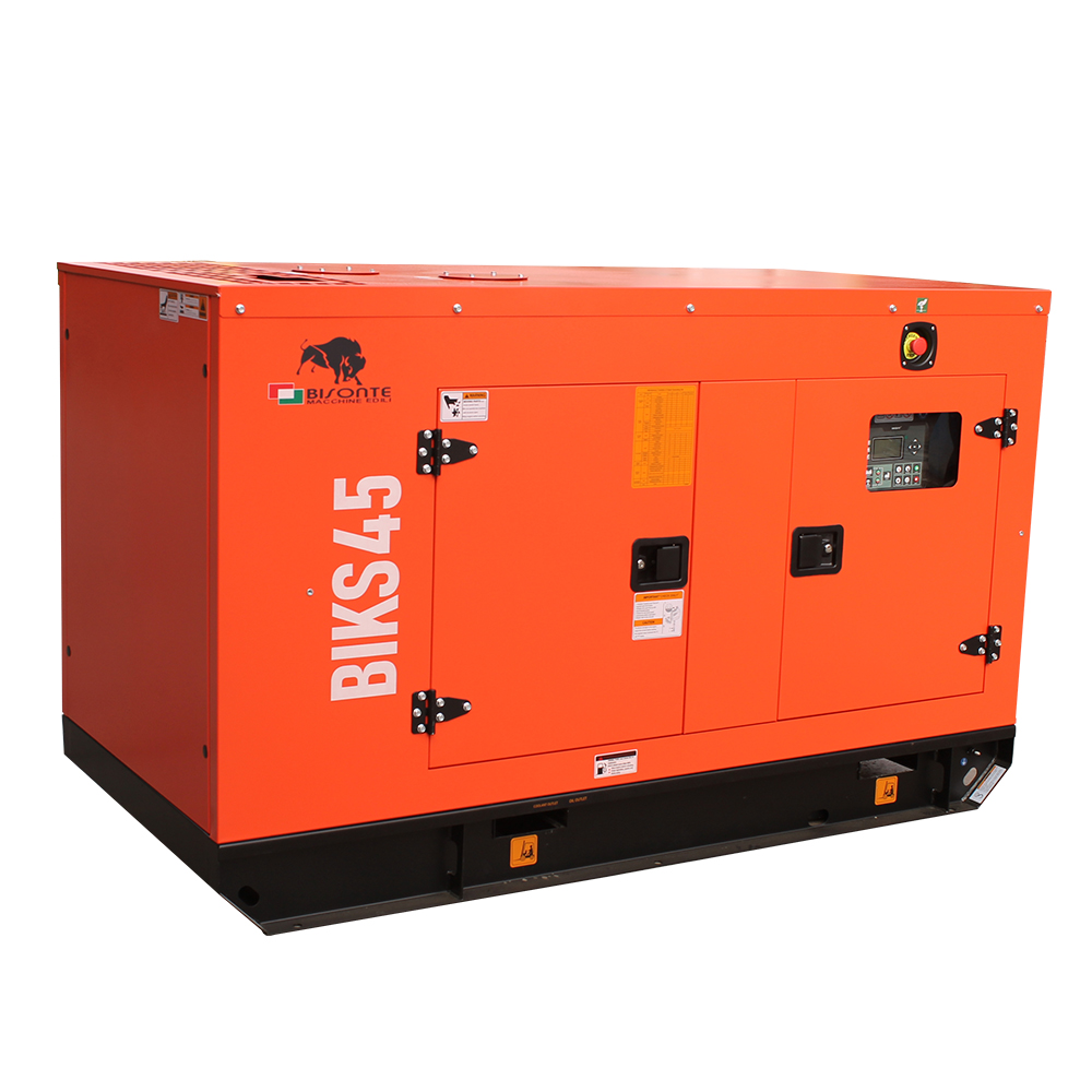 Generator BIKS45 ATS putere maxima 44 kVA Bisonte - imagine 4