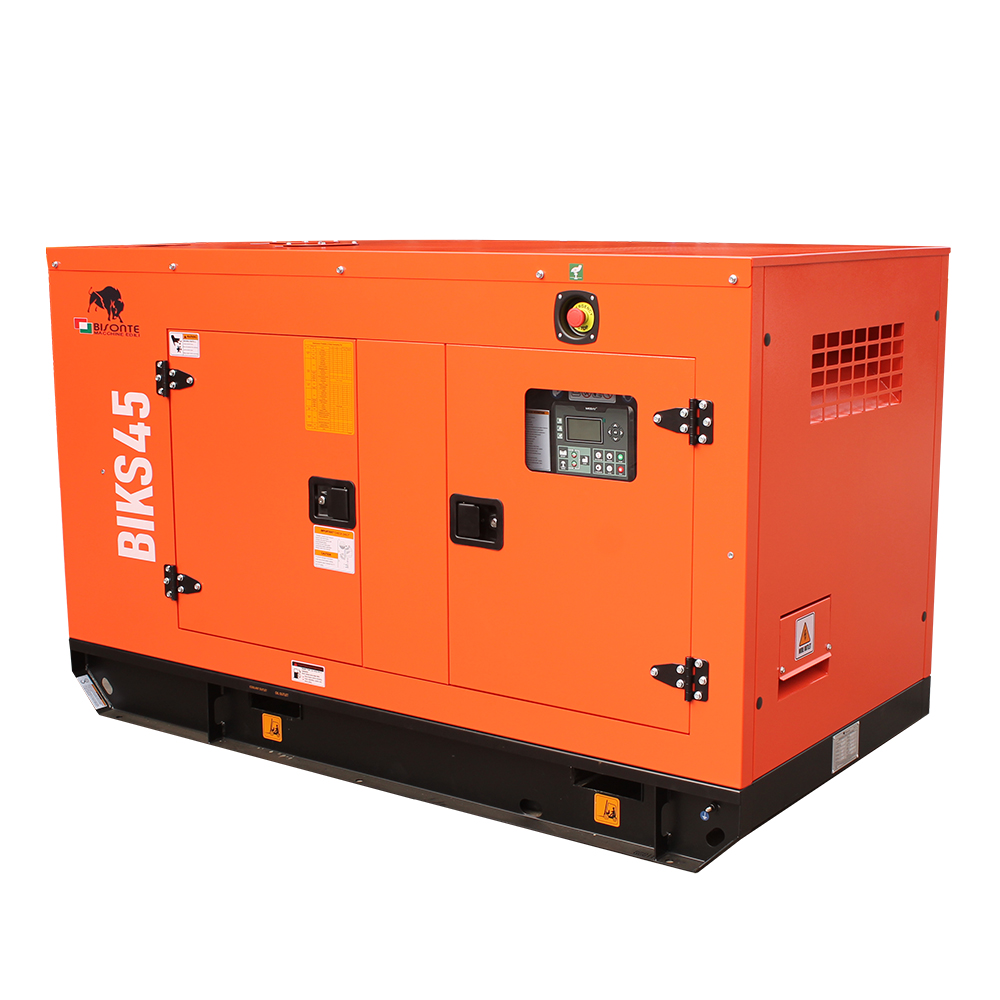 Generator BIKS45 ATS putere maxima 44 kVA Bisonte - imagine 3