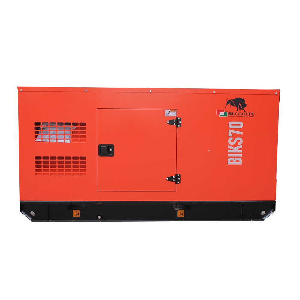 Generator BIKS70 ATS putere maxima 68.8 kVA Bisonte - imagine 2