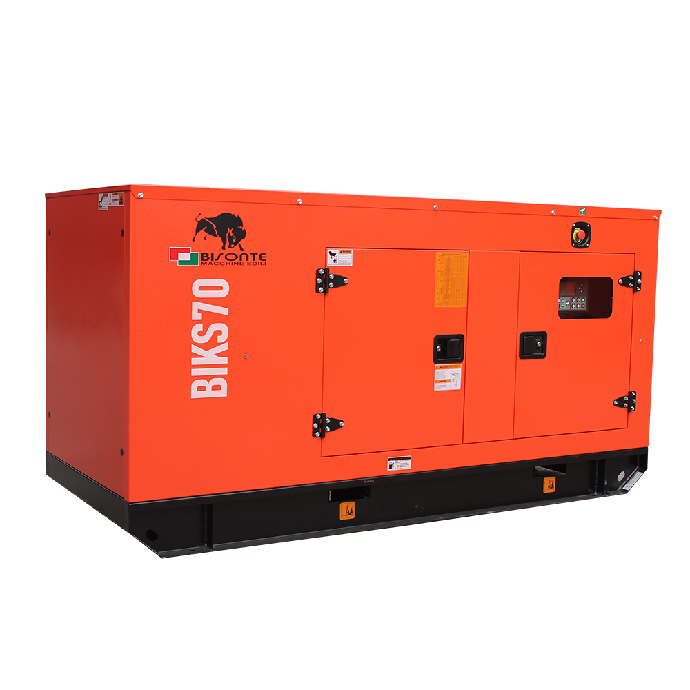 Generator BIKS70 ATS putere maxima 68.8 kVA Bisonte - imagine 6