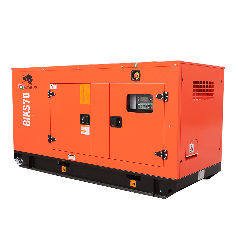 Generator BIKS70 ATS putere maxima 68.8 kVA Bisonte - imagine 5