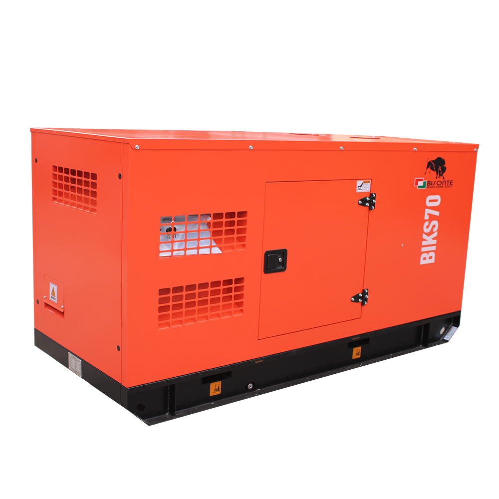 Generator BIKS70 ATS putere maxima 68.8 kVA Bisonte - imagine 4