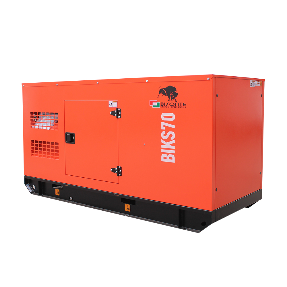 Generator BIKS70 ATS putere maxima 68.8 kVA Bisonte - imagine 3