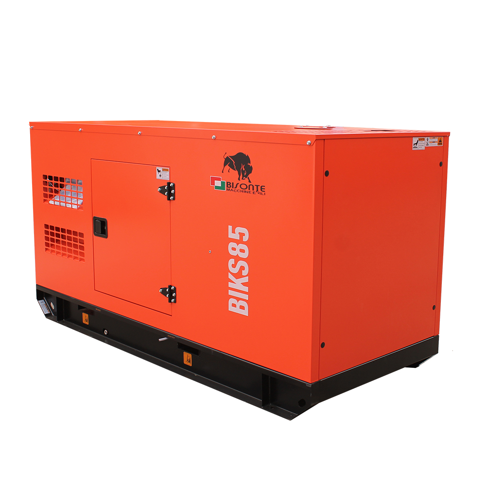 Generator BIKS85 ATS putere maxima 82.5 kVA Bisonte - imagine 3