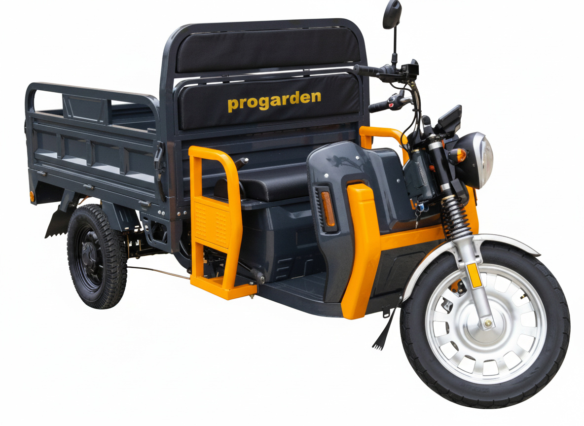 Triciclu Electric 25km/h 72V 58Ah Cargo Progarden TRIVO 3000